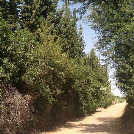 Le Jardin Touagana - Campement & Lodge Touggana 외부 사진