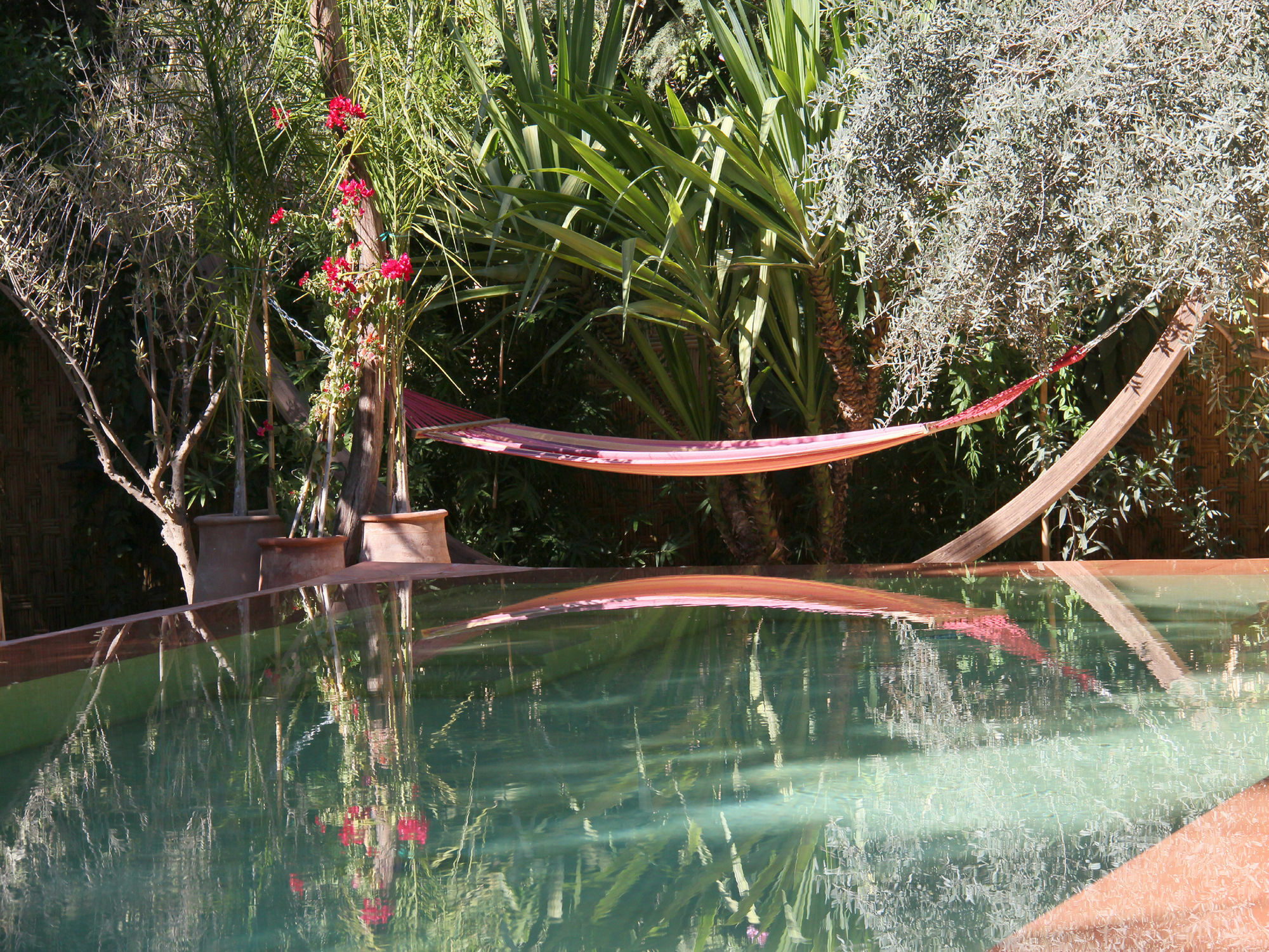 Le Jardin Touagana - Campement & Lodge Touggana 외부 사진