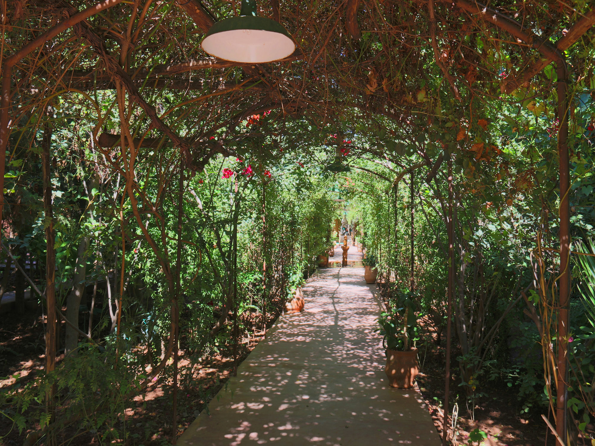 Le Jardin Touagana - Campement & Lodge Touggana 외부 사진