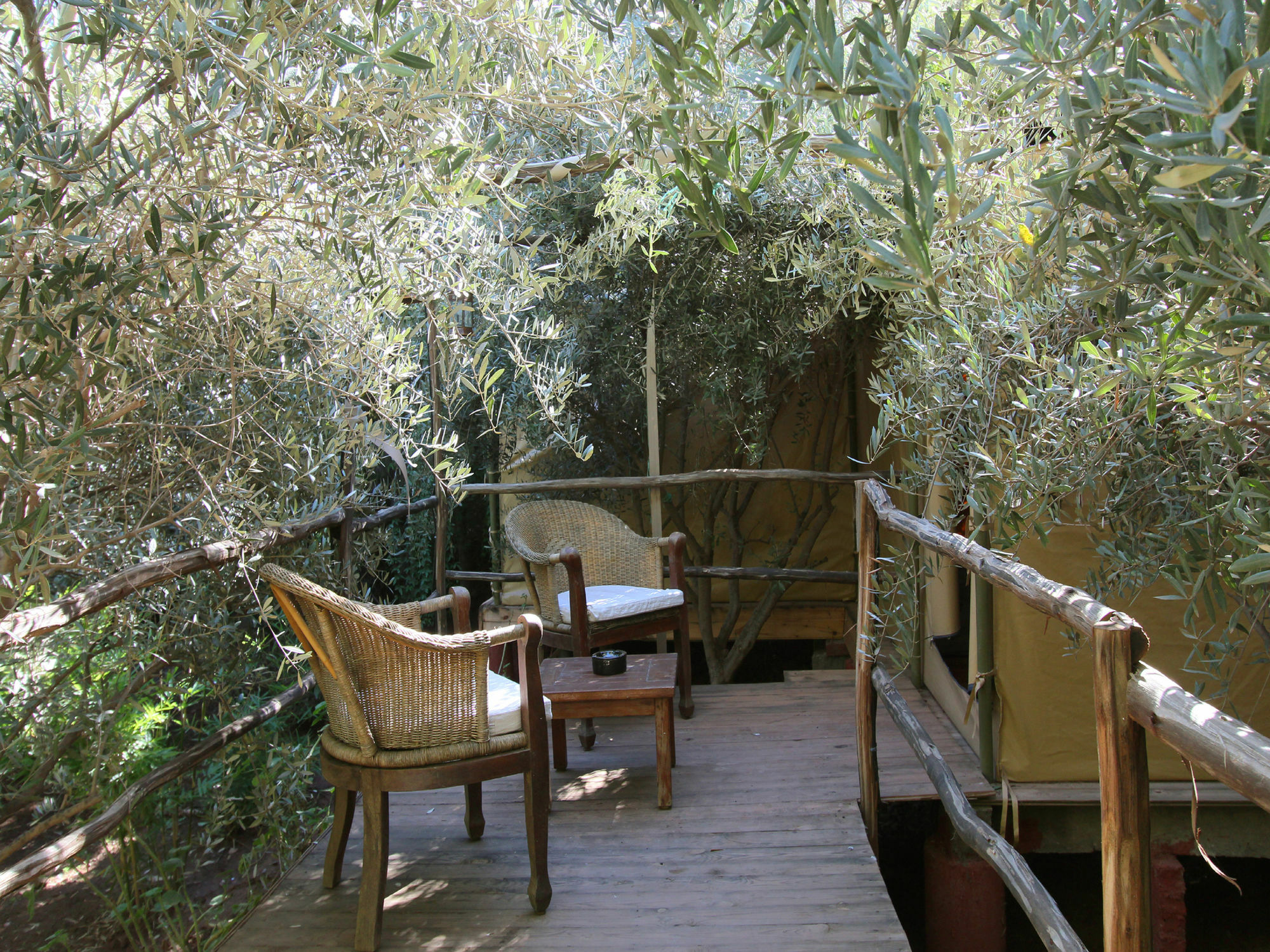 Le Jardin Touagana - Campement & Lodge Touggana 외부 사진